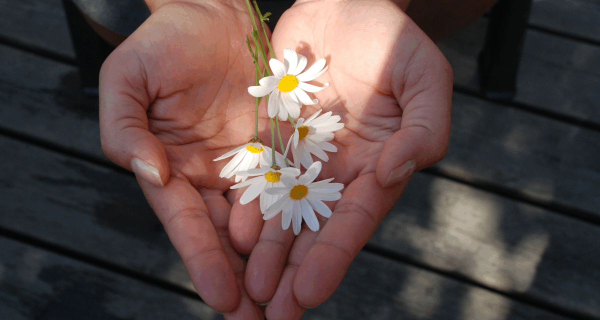 20 добрых дел, которые можно сделать сегодня