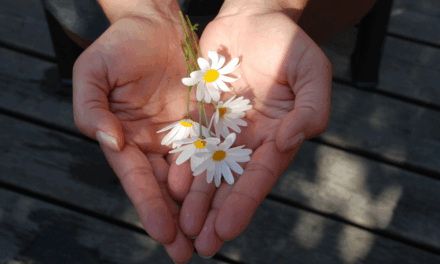 20 добрых дел, которые можно сделать сегодня