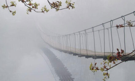Притча о пяти путях (и ещё об одном)