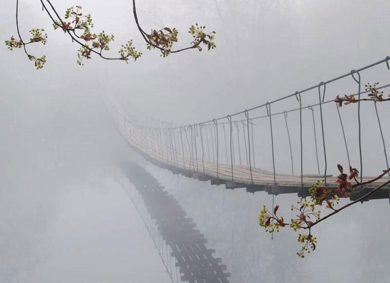 Притча о пяти путях (и ещё об одном)