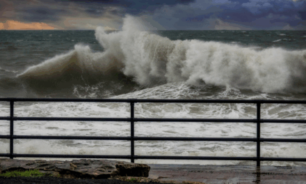 Пять метафор, которые помогают пережить кризис